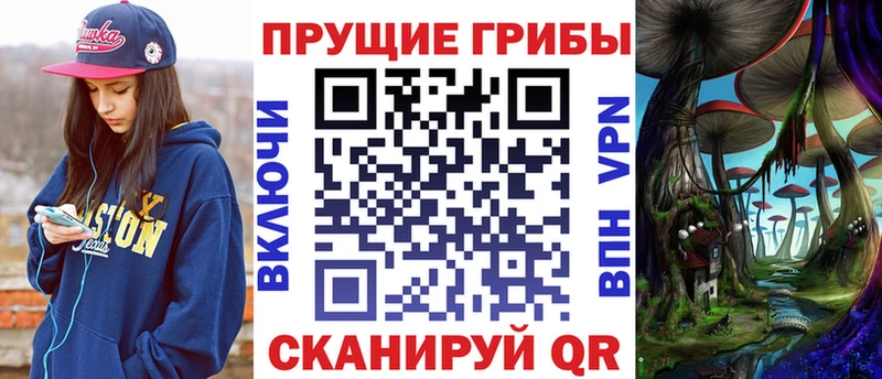 Псилоцибиновые грибы мицелий  hydra зеркало  Сафоново 